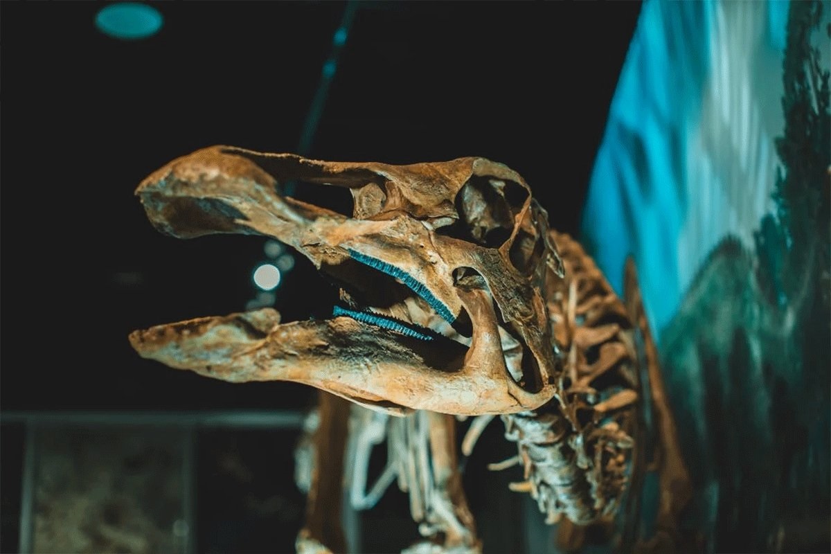 Otkrivena nova vrsta dinosaurusa u Argentini