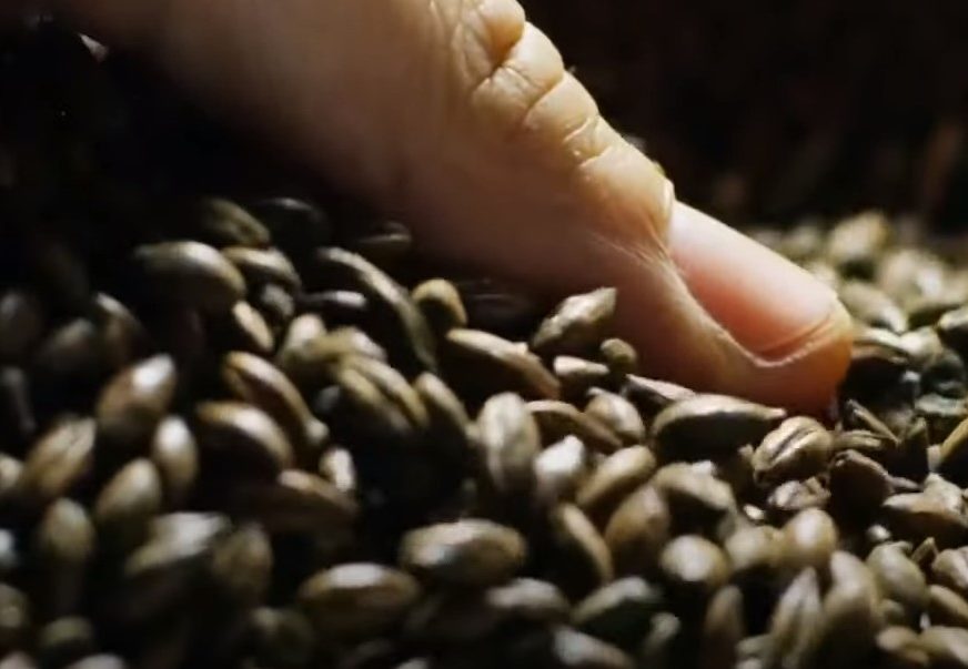 POSJEDUJE BROJNE ZDRAVSTVENE PREDNOSTI Crna kafa povećava energiju i pomaže pri mršavljenju