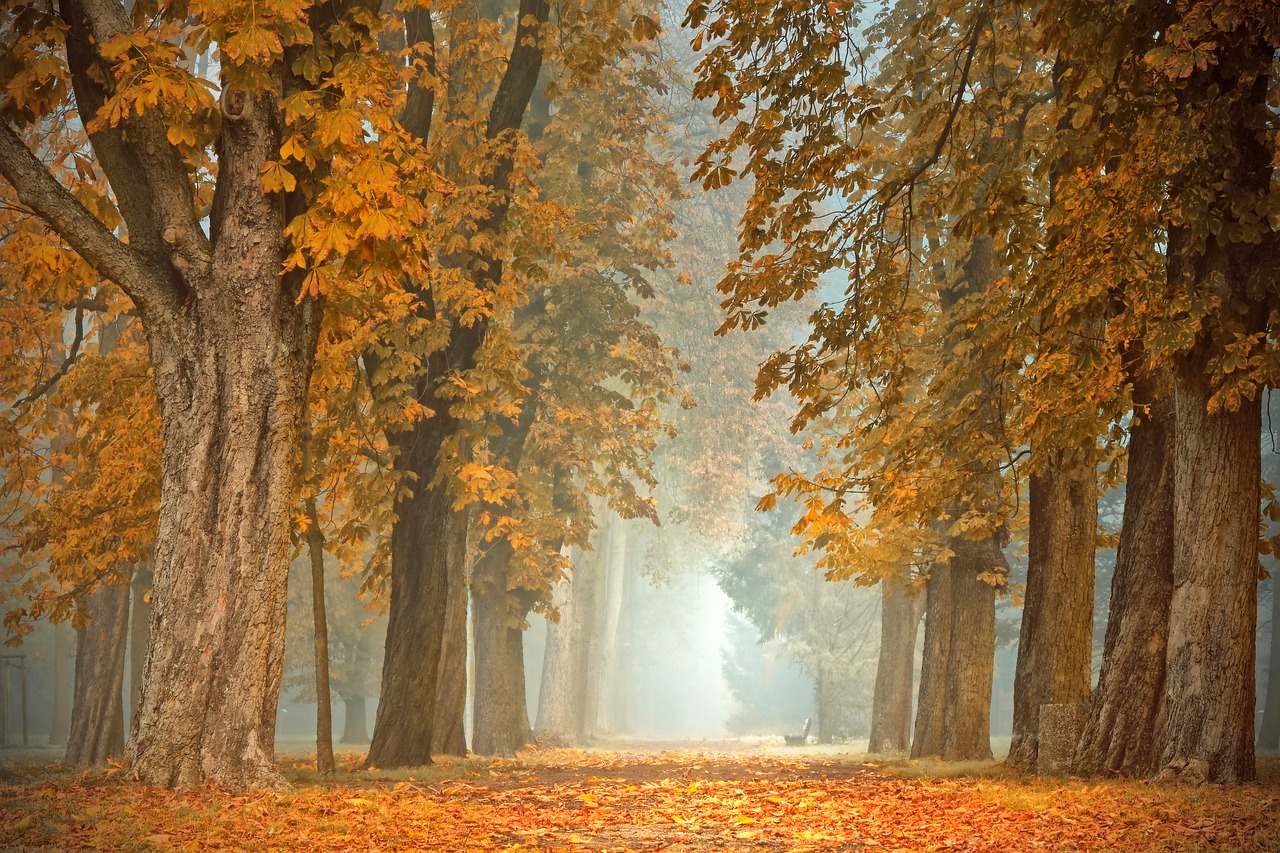 Danas oblačno i hladno