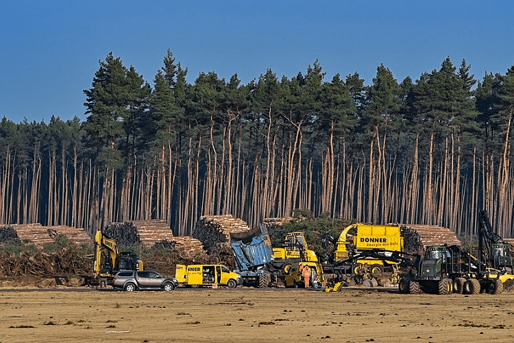 Zmije zaustavile gradnju 