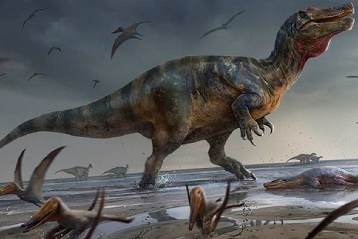 Ostaci najvećeg dinosaurusa u Evropi pronađeni u dvorištu kuće