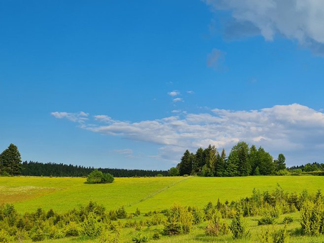 Upozorenje zbog vrućine - temperatura i do 40 stepeni 
