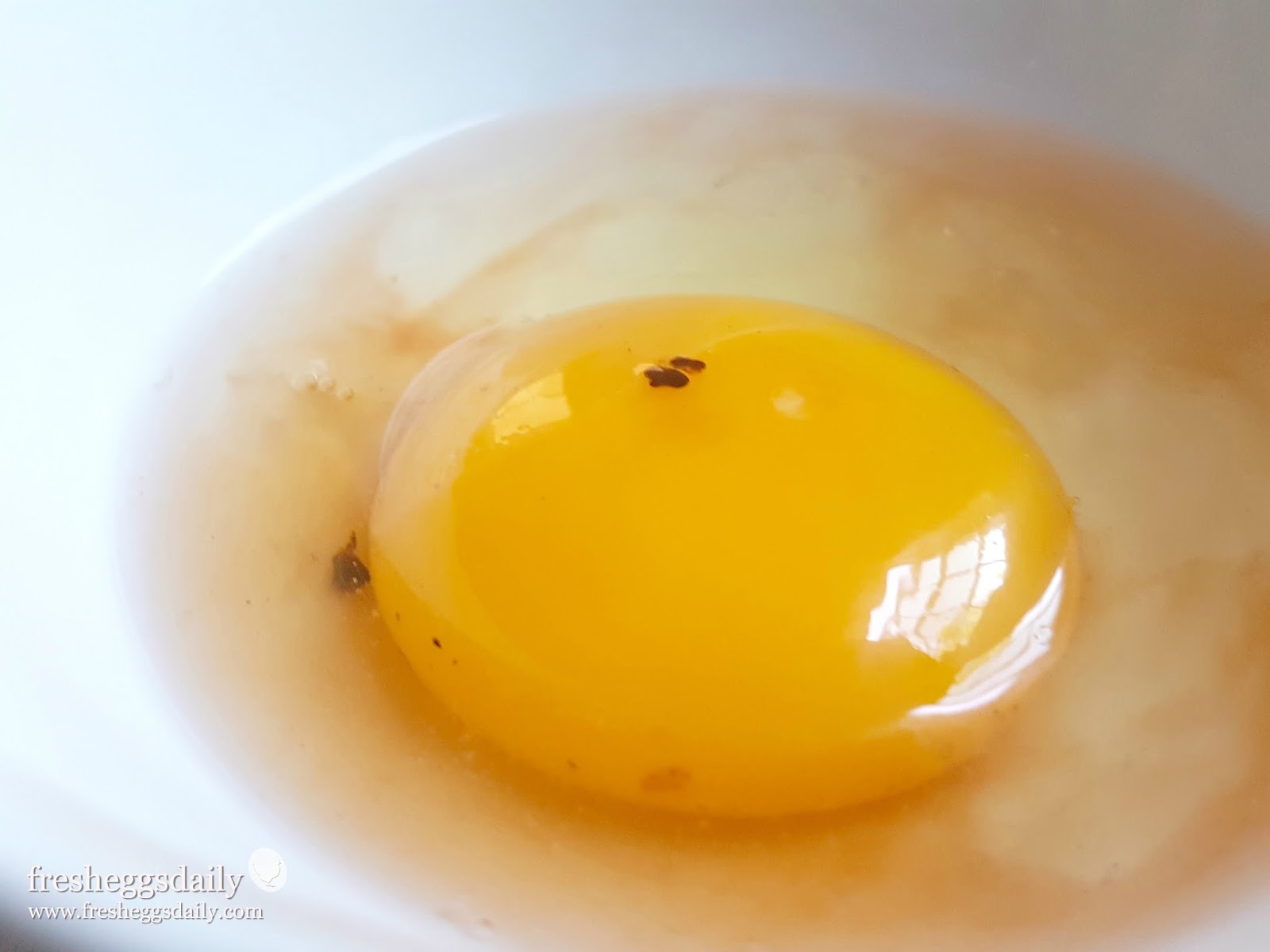Evo zašto se u nekim jajima nalazi crvena mrlja