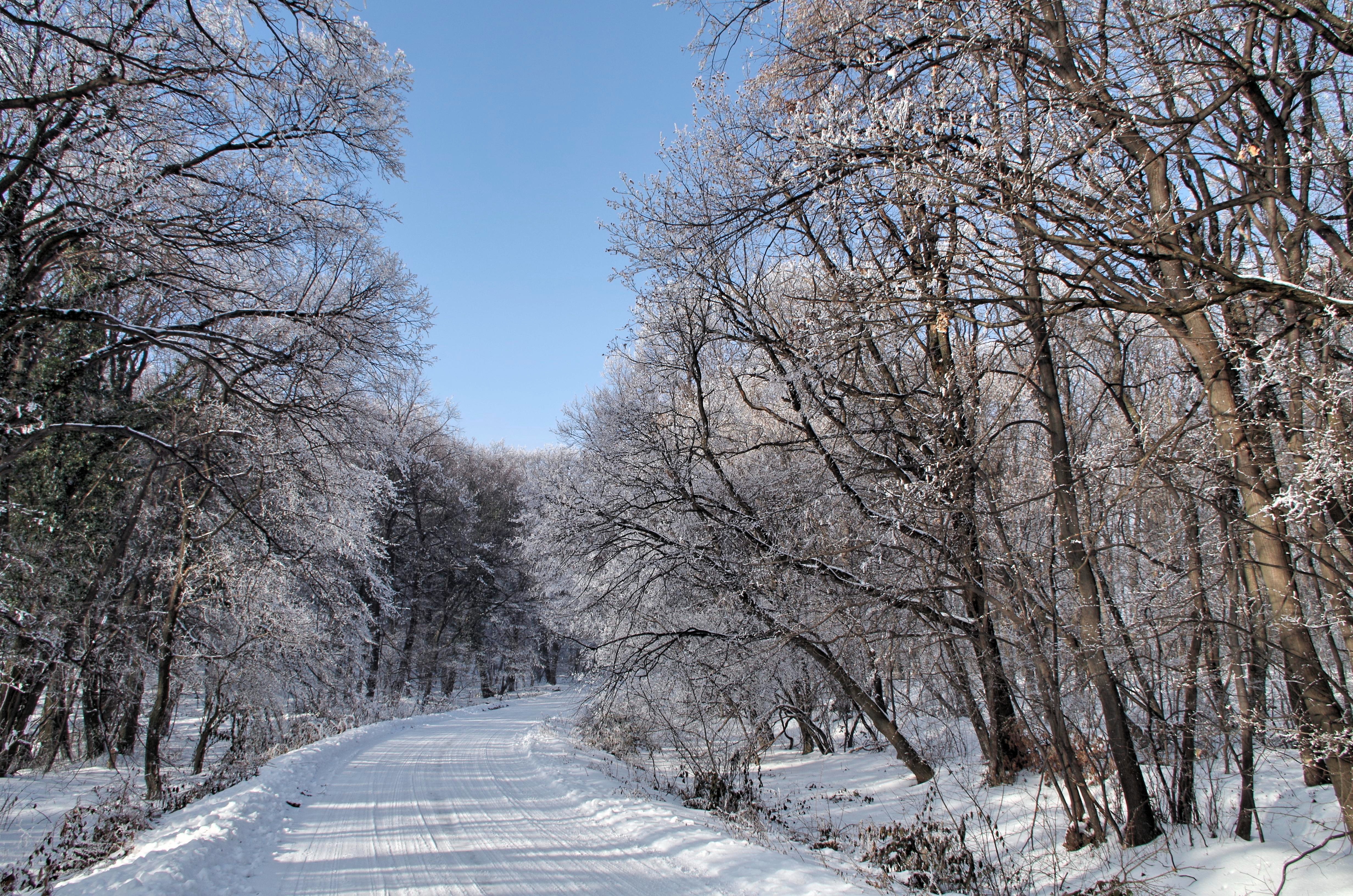 Danas postepeno razvedravanje