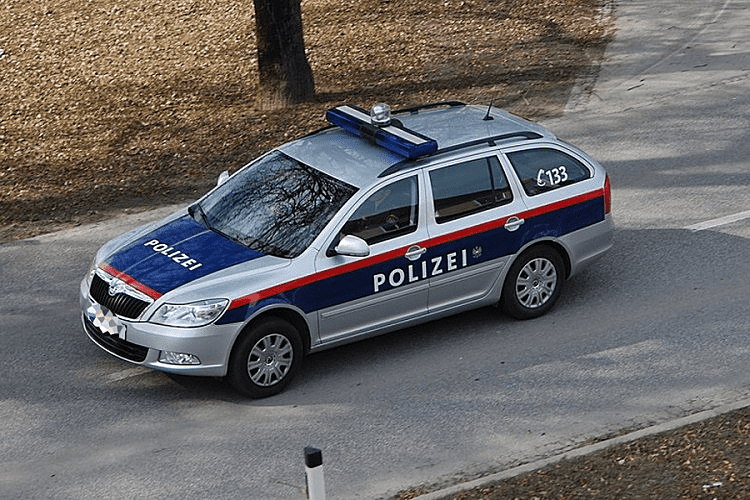 Austrijanka osumnjičena da je izbola dečka iz BiH i pustila ga da iskrvari