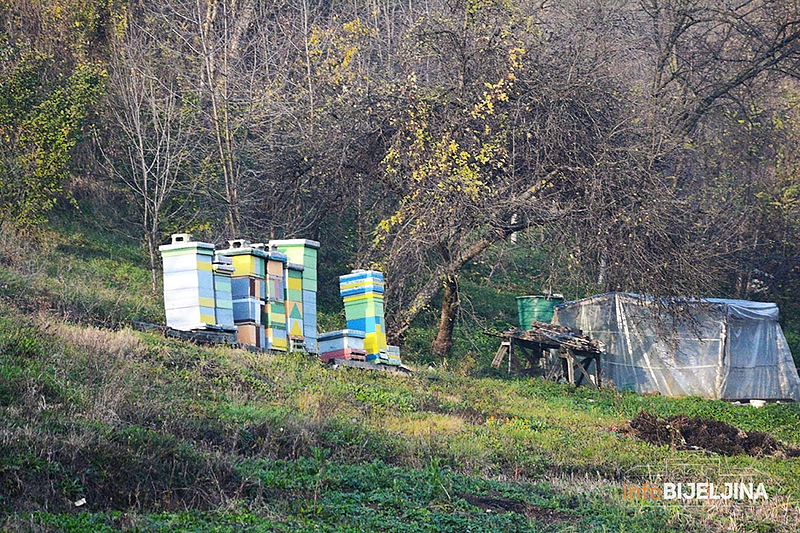 Niski prinosi meda ove godine, potražnja porasla