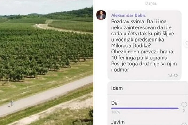 Cenić objavila Viber poruku u kojoj se ljude poziva na kupljenje šljiva kod Dodika