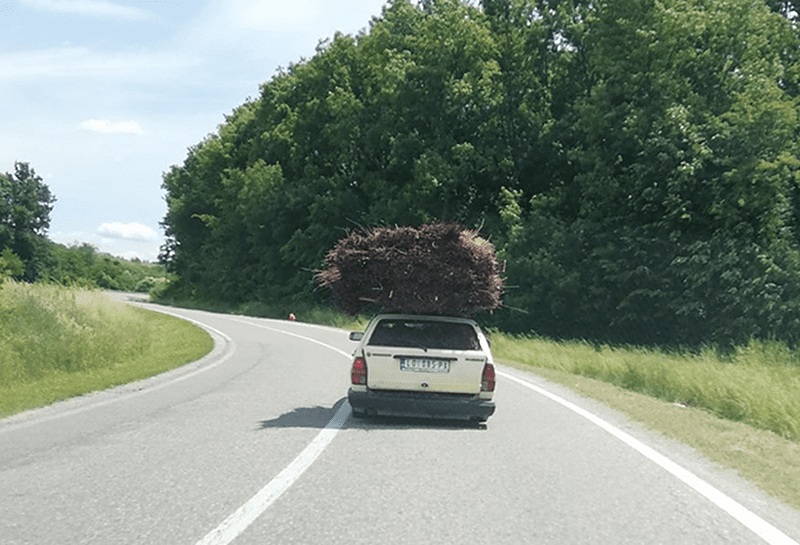 ČUDAN TOVAR Pogodite šta se nalazi na krovu ovog vremešnog automobila