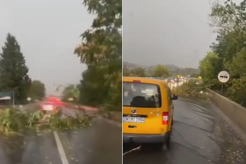 Jako nevrijeme zahvatilo Doboj, vjetar obarao stabla na cestu, saobraćaj otežan