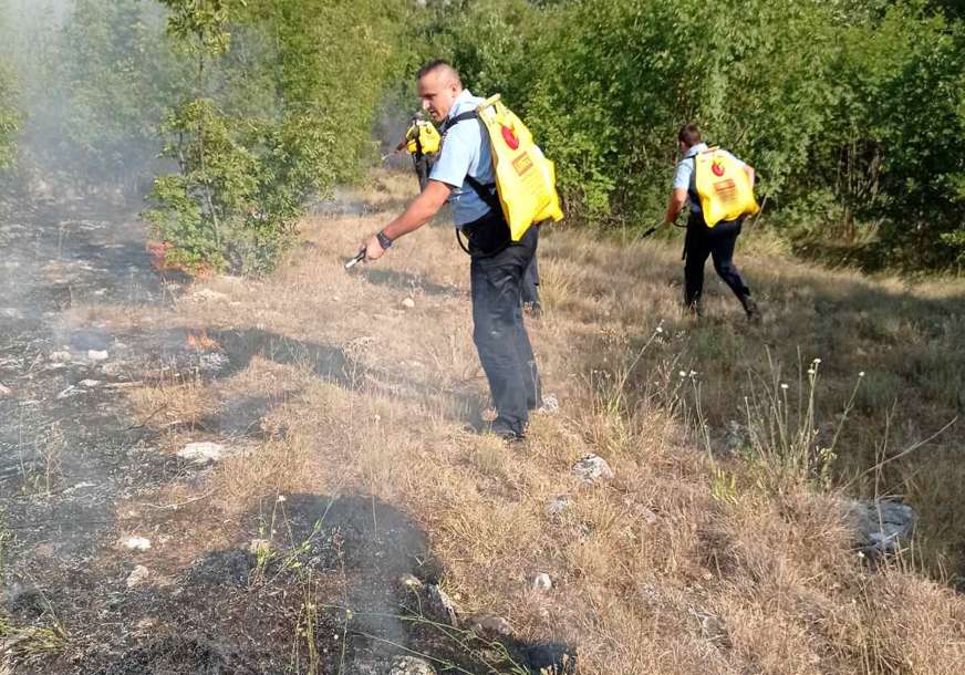 POŽARU U NEVESINJU Izgorio zasad šipurka