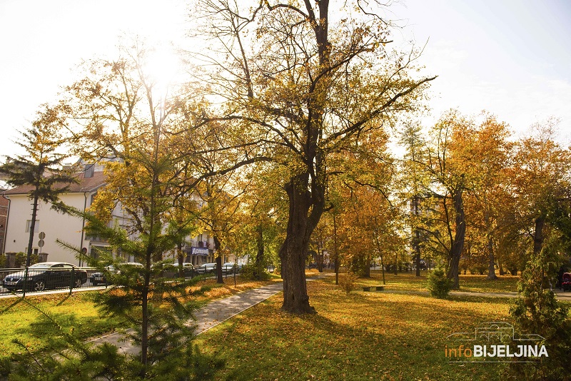 Danas sunčano i toplo