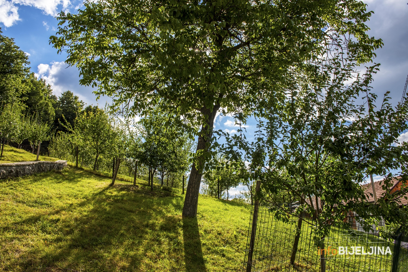 NEDJELJA IDEALNA ZA ODMOR Sutra u BiH sunčano, temperatura do 29 stepeni