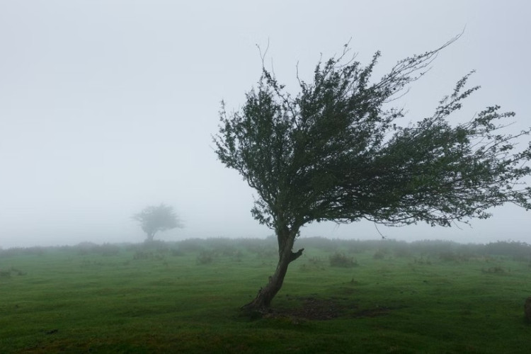 IZDATO UPOZORENJE ZA CIJELU BIH Udari vjetra i do 90 km/h i grmljavina