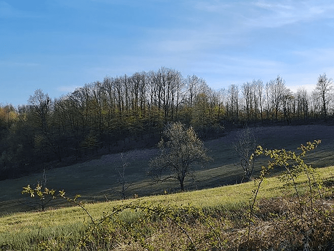 Sunčano i veoma toplo