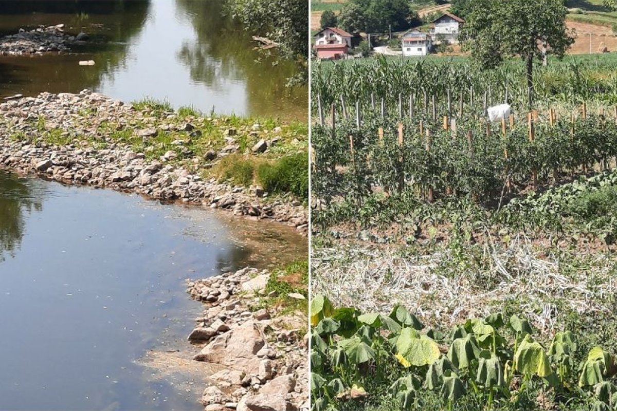 Spreča skoro presušila: Spržene bašte, ugrožena riba