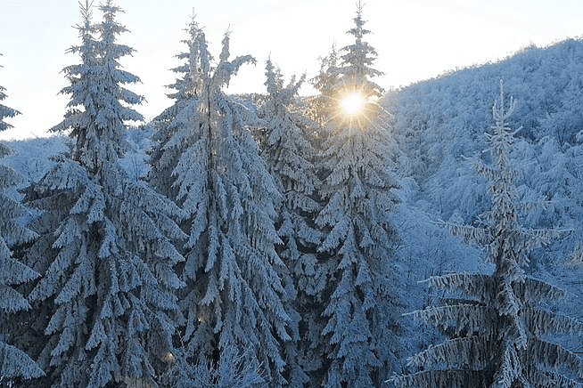 METAR SNIJEGA NA ŽABLJAKU Bijeli pokrivač okovao crnogorske planine