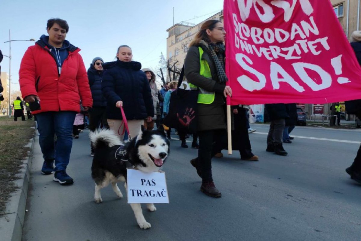 Završena “Potraga za rektorom” u Novom Sadu (VIDEO)