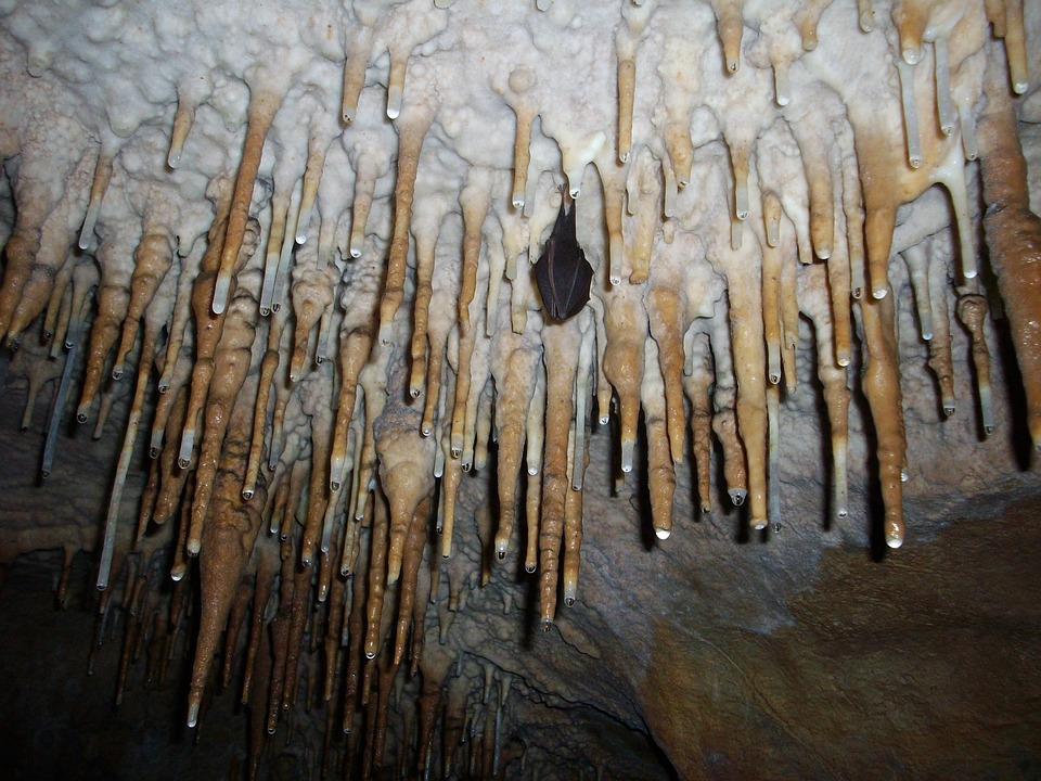 Drama u Sloveniji: U pećini povrijeđena žena speleolog, u toku velika akcija spašavanja