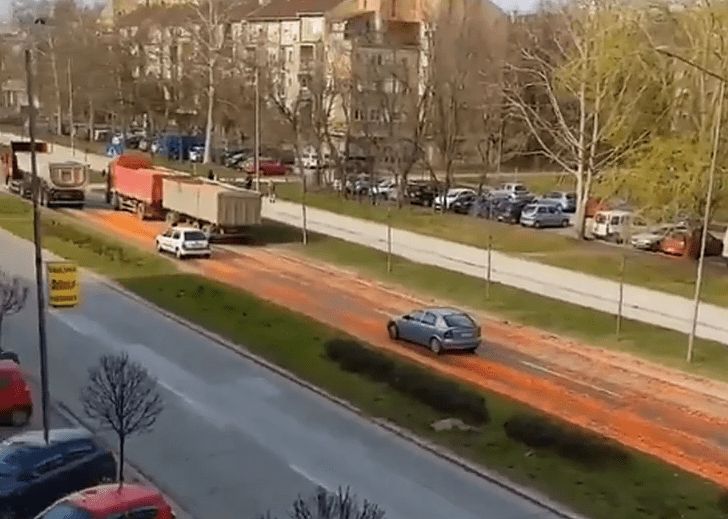 PUT POSUT MRKVAMA Gomila povrća se prosula po bulevaru u Novom sadu, cijela ulica narandžasta