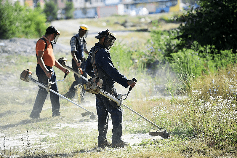 DOBRA VIJEST ZA GRAĐANE Košenje ambrozije počinje 15 jula