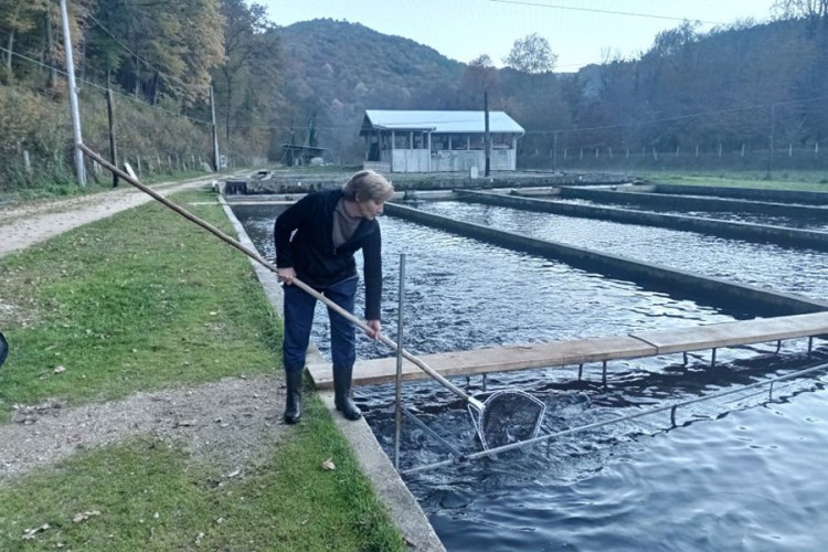 Ameriku zamijenila ribogojstvom u zavičaju