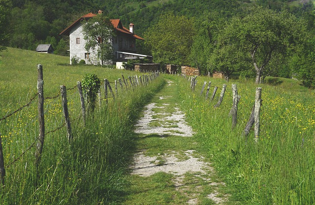 Čak 195 naselja u Hrvatskoj bez ijednog stanovnika OSTATI ZNAČI I OPSTATI