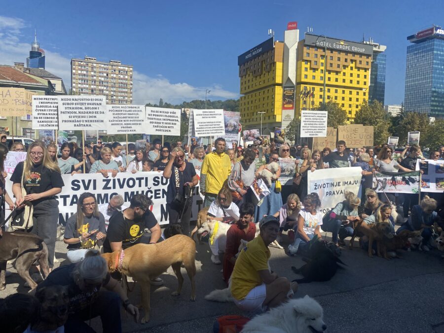 U Sarajevu protesti za ubijenog psa Medu: “Napustio si ovaj surovi svijet okovan strahom, bolom i patnjom”