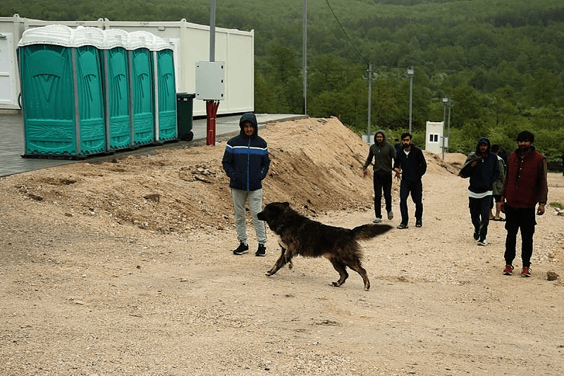 GRANIČNA POLICIJA BiH UPOZORAVA Najveća žarišta ilegalnog ulaska migranata – Zvornik, Hum i Trebinje