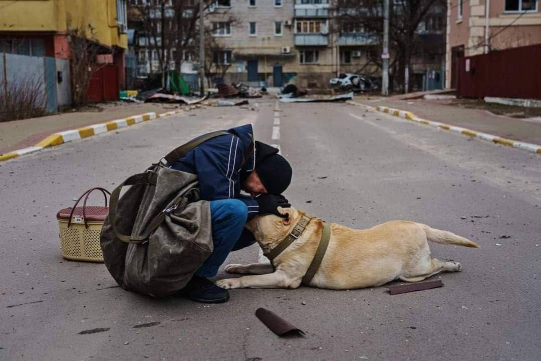 UŽIVO /VIDEO/Rusi zauzeli bolnicu u Mariupolju..;Poginuo novinar FOX NEWS;40.000 Sirijaca;Snimak oborenog aviona