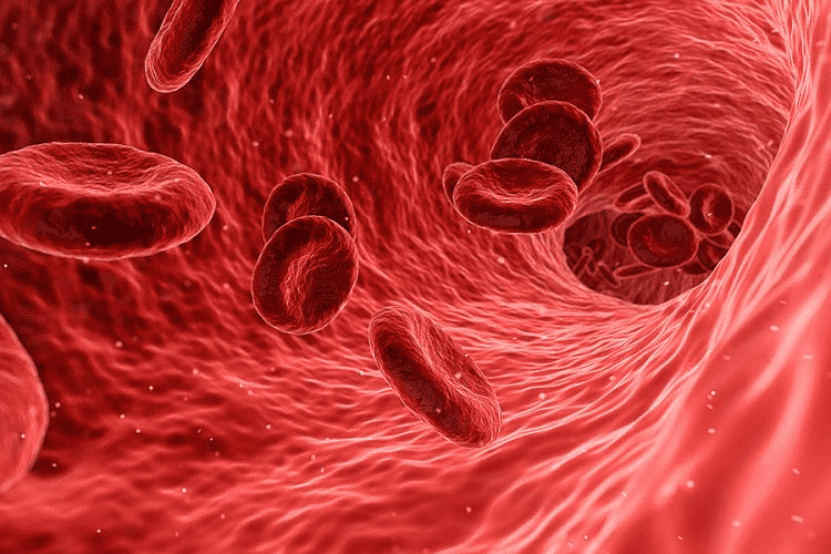 Naučnici: Antitijela i devet mjeseci od oboljenja