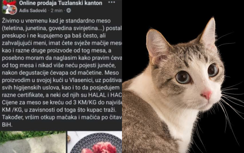 Muškarac iz Vlasenice na Facebooku objavio oglas da pravi ćevape od mačjeg mesa, kila od 3 do 8 KM!?