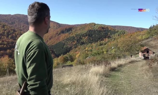 Mirko OČI U OČI SA ZVIJERI 