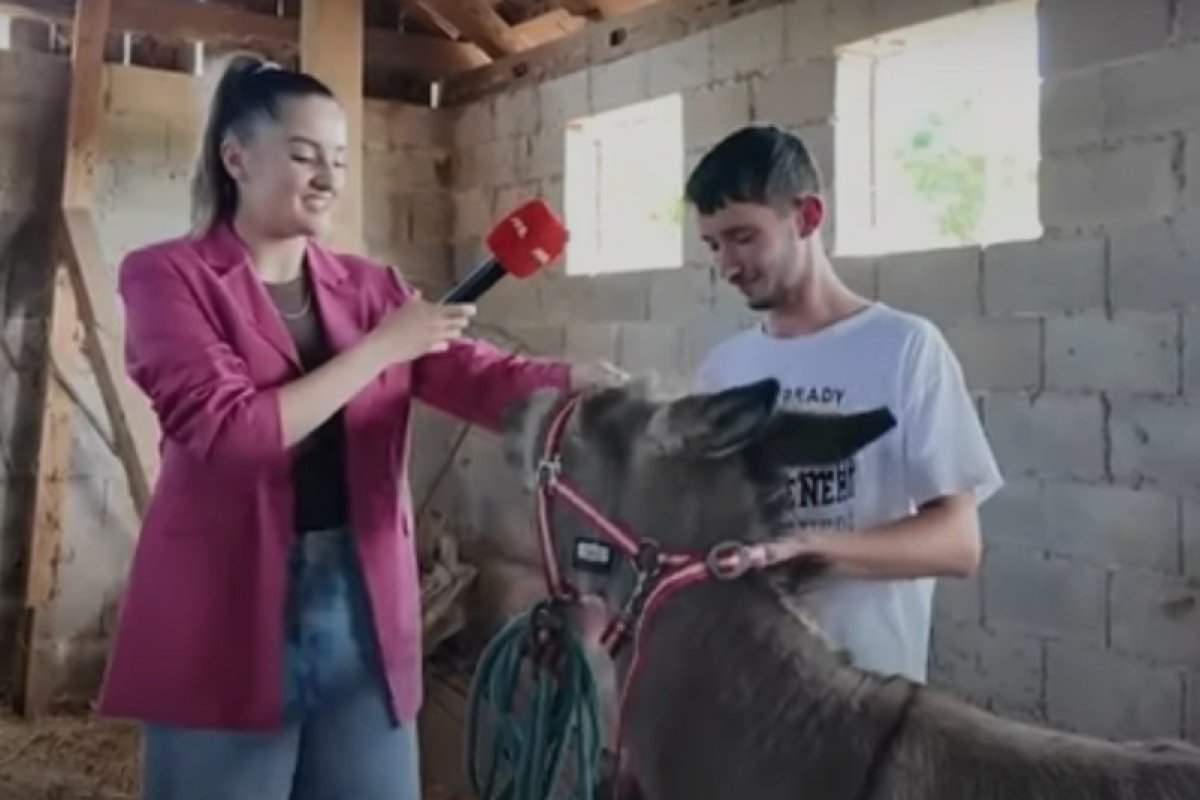 Tek punoljetan Mirko iz Širokog Brijega vodi vlastitu farmu (VIDEO)