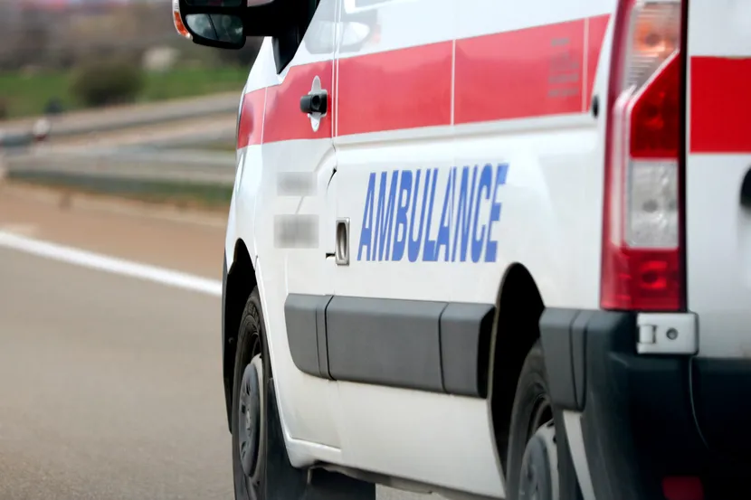 Horor u Srbiji: Pit bul izujedao ženu i bebu
