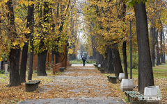 TMURAN NOVEMBARSKI DAN Sutra u BiH oblačno i maglovito, temperatura do 17 stepeni