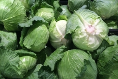 Kako prepoznati kupus pun hemije