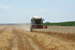 Kad je na redu popis poljoprivrede u BiH, posljednji bio davne 1960. godine