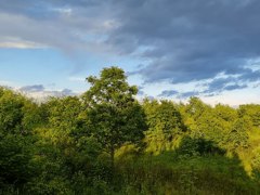 Tokom dana razvedravanje