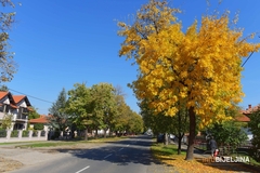 SUTRA SUNČANO I TOPLIJE Temperatura do 20 stepeni Celzijusovih