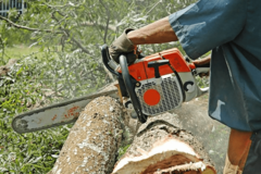 Dok šume u FBiH čekaju zakon, na sceni gola sječa