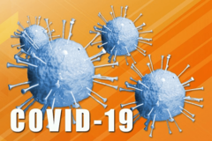 ZARAŽENO JOŠ 775 OSOBA Od posljedica korona virusa u Federaciji BiH umrla 33 pacijenta