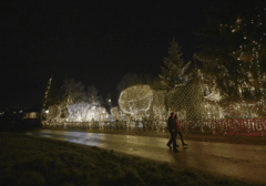 VISOKA CIJENA ZAKLJUČAVANJA Na putevima kroz Austriju manje vozila