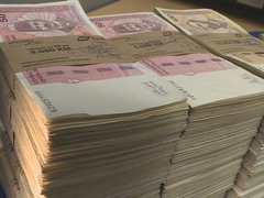 Rast prihoda u ovoj godini 14,8 odsto