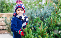 Simobolika NOVOGODIŠNJIH BOJA: Evo koji motiv se krije iza zlatne