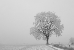 Danas vjetrovito i hladno sa padavinama