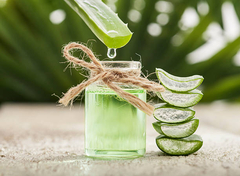EVO KOJA SVOJSTVA IMA! Aloe Vera, najbolji prijatelj vaše kože i organizma 