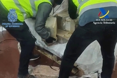 Uhapšeno 20 Balkanaca, u tunjevini krili 7,5 tona kokaina