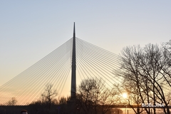 KORONA BROJKE U SRBIJI Za jedan dan preminuo jedan pacijent, registrovane još 564 osobe pozitivne na virus