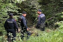 Detalji zločina u Austriji: Državljanka BiH nasmrt izbodena šrafcigerom