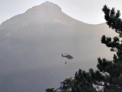 Proširio se požar na području NP "Sutjeska"